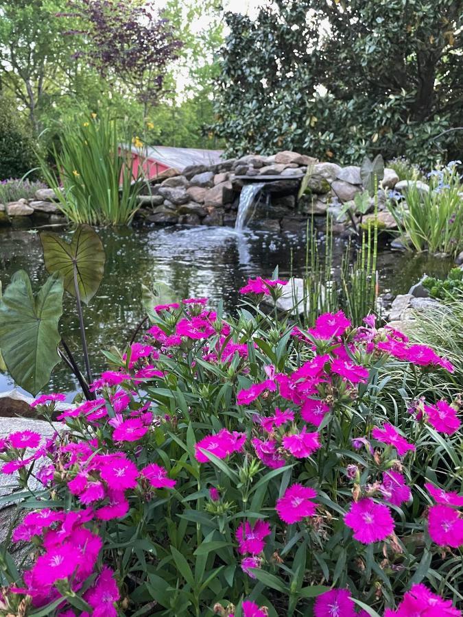 Gillen House Bed And Breakfast Maxeys Bagian luar foto