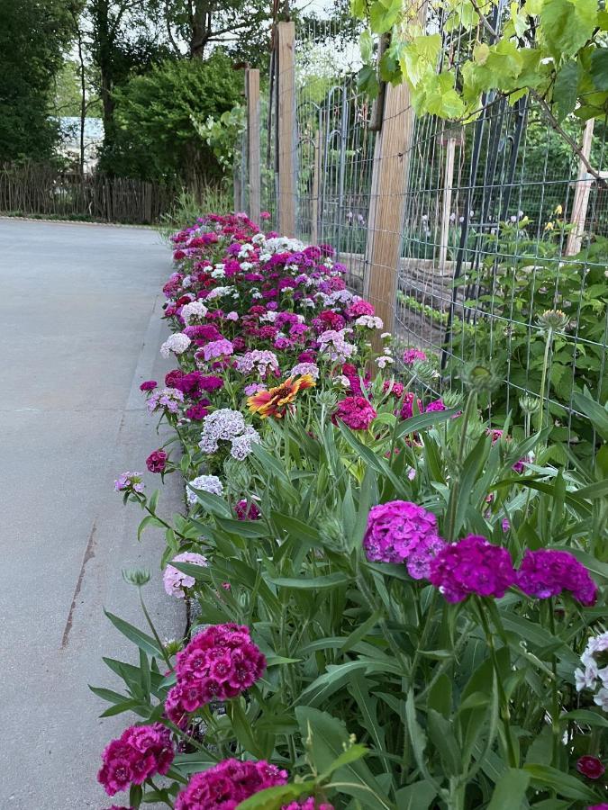 Gillen House Bed And Breakfast Maxeys Bagian luar foto